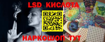 прущие грибы Кимры